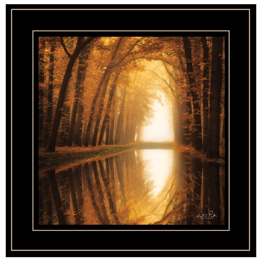 Lochem Reflections 2 Black Framed Print Wall Art HomeRoots