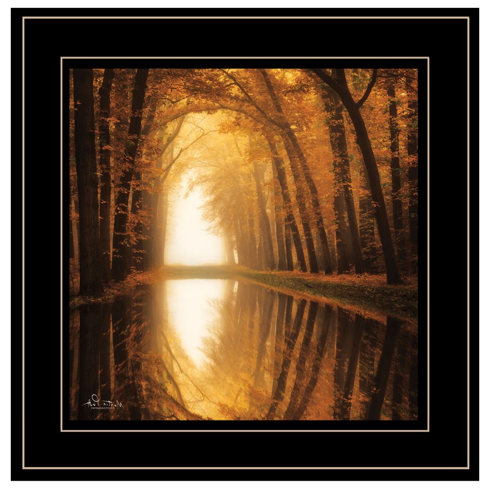 Lochem Reflections 2 Black Framed Print Wall Art HomeRoots