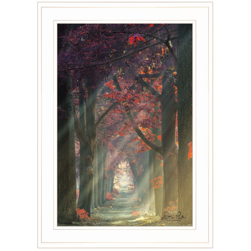 Path of Happiness 1 White Framed Print Wall Art HomeRoots