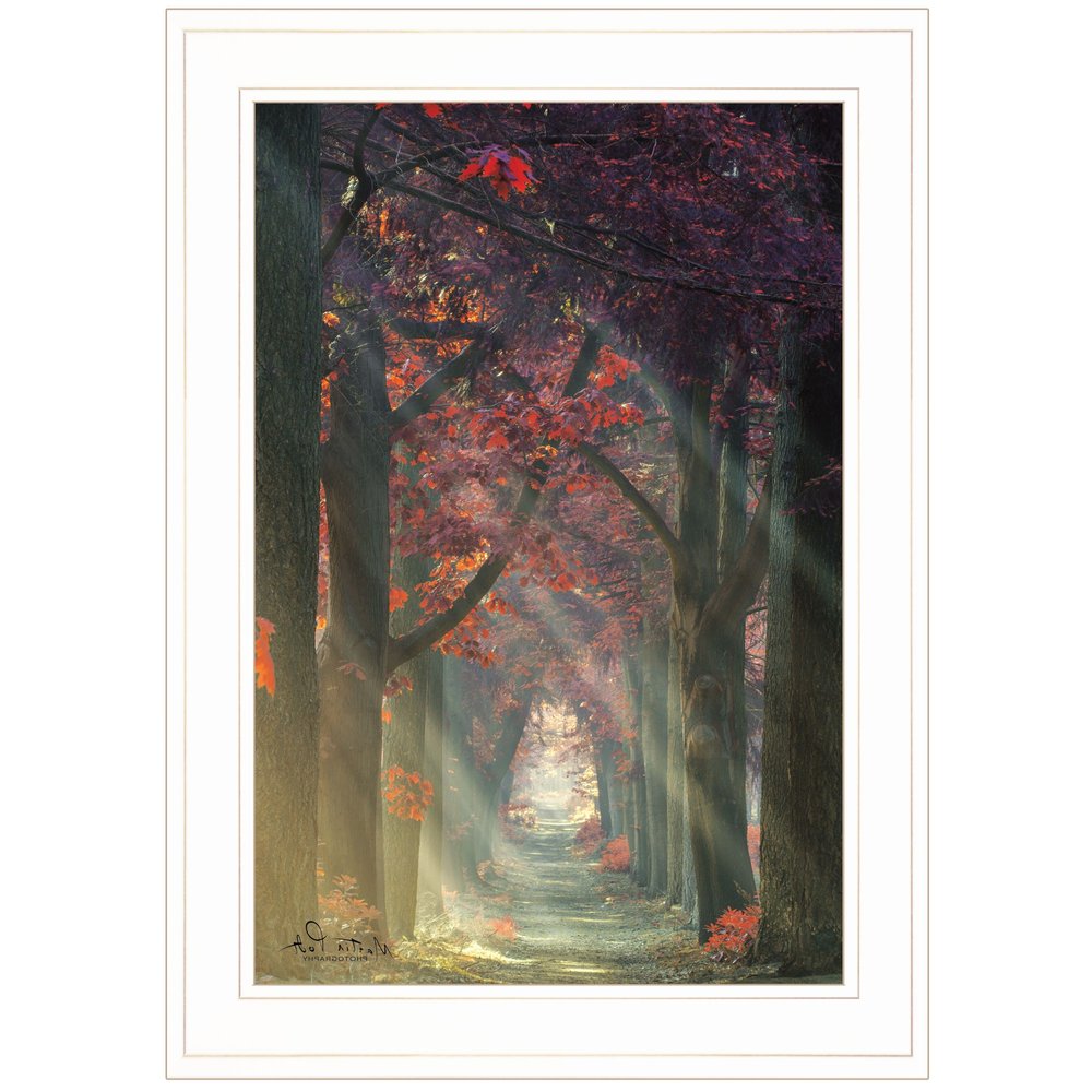 Path of Happiness 1 White Framed Print Wall Art HomeRoots