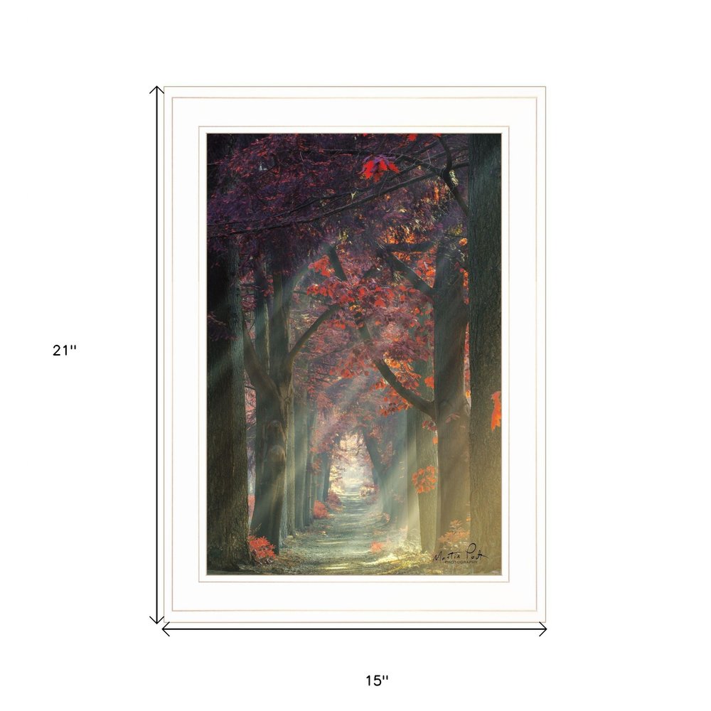 Path of Happiness 1 White Framed Print Wall Art HomeRoots