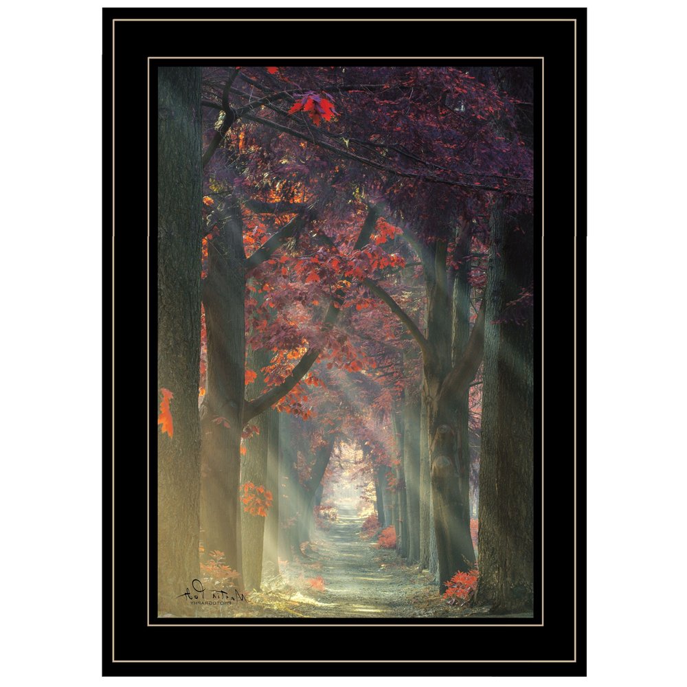 Path of Happiness 2 Black Framed Print Wall Art HomeRoots