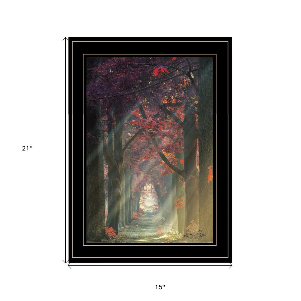 Path of Happiness 2 Black Framed Print Wall Art HomeRoots