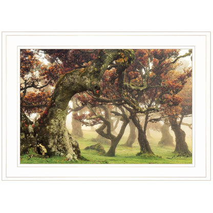 Fanal White Framed Print Wall Art HomeRoots