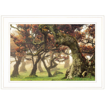 Fanal White Framed Print Wall Art HomeRoots