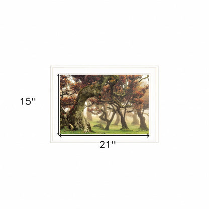 Fanal White Framed Print Wall Art HomeRoots