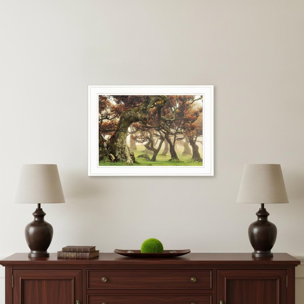 Fanal White Framed Print Wall Art HomeRoots