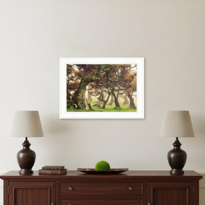 Fanal White Framed Print Wall Art HomeRoots