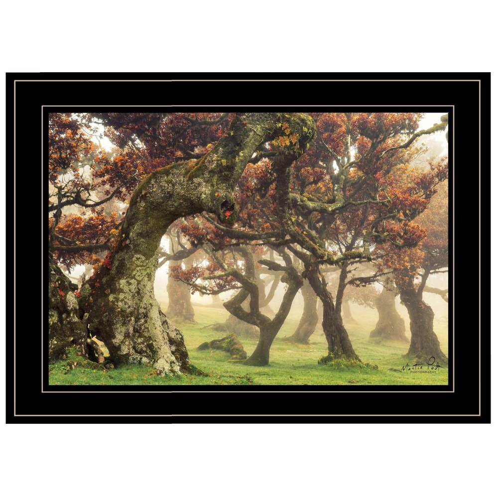 Fanal Martin Podt Ready to Hang Framed Print Black Frame Black Framed Print Wall Art HomeRoots