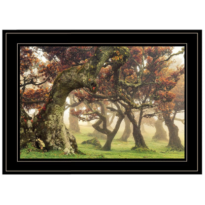 Fanal Martin Podt Ready to Hang Framed Print Black Frame Black Framed Print Wall Art HomeRoots