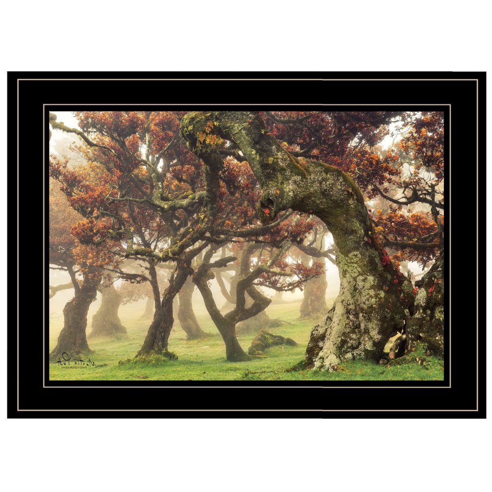 Fanal Martin Podt Ready to Hang Framed Print Black Frame Black Framed Print Wall Art HomeRoots