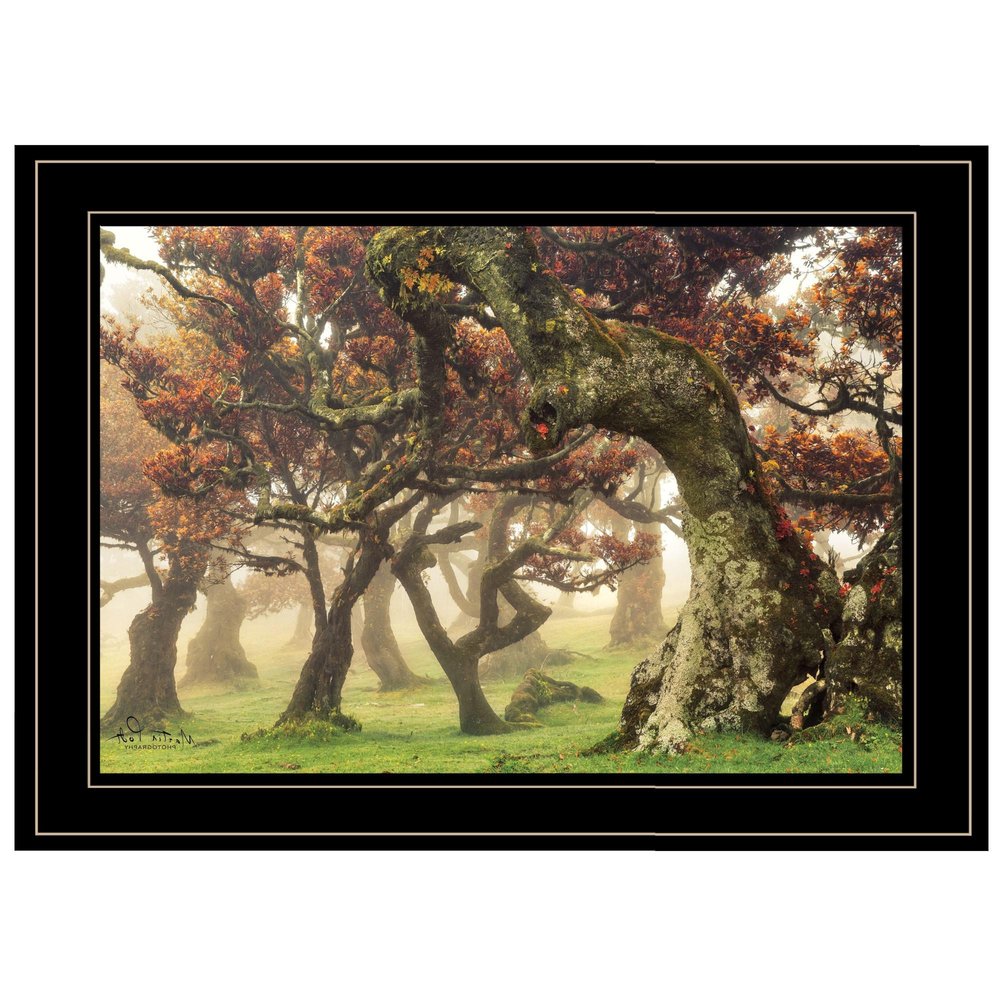 Fanal Martin Podt Ready to Hang Framed Print Black Frame Black Framed Print Wall Art HomeRoots