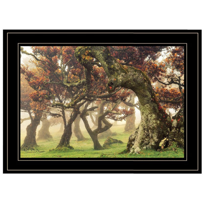 Fanal Martin Podt Ready to Hang Framed Print Black Frame Black Framed Print Wall Art HomeRoots