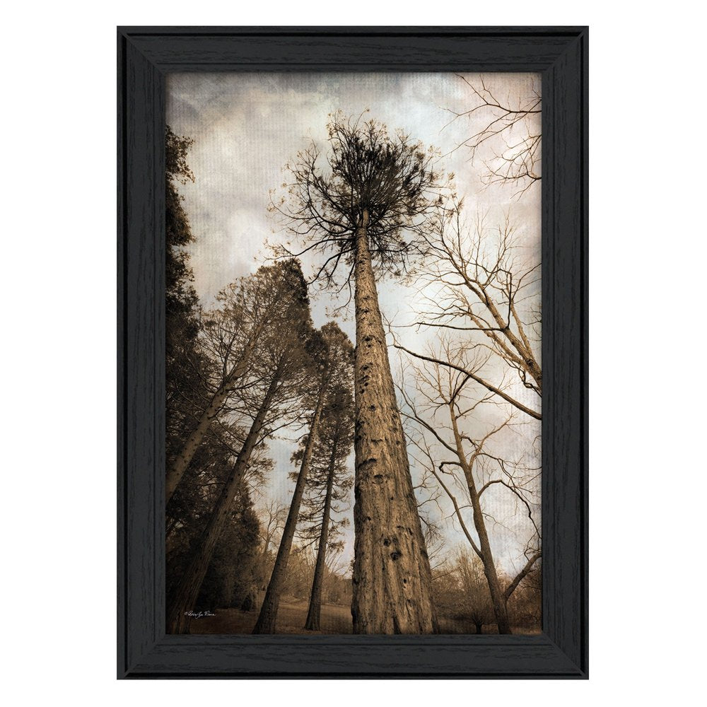Skys the Limit Black Framed Print Wall Art HomeRoots