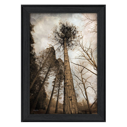 Skys the Limit Black Framed Print Wall Art HomeRoots