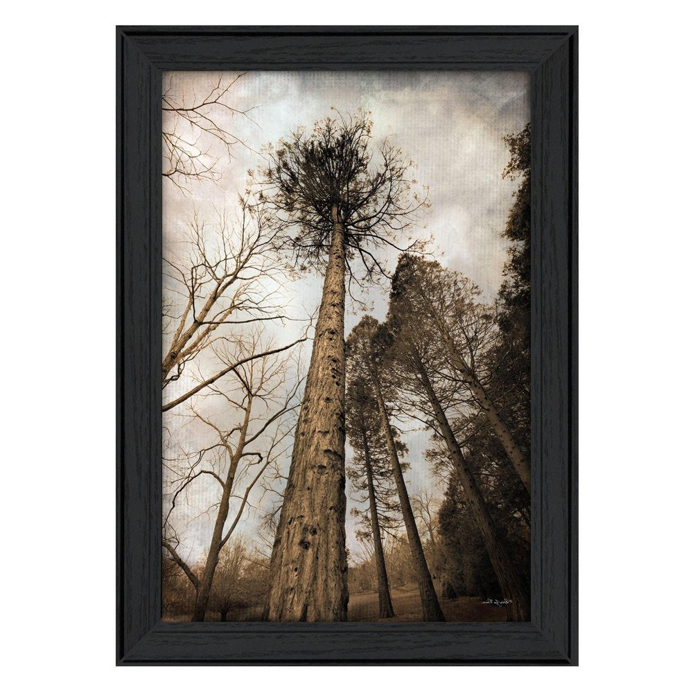 Skys the Limit Black Framed Print Wall Art HomeRoots