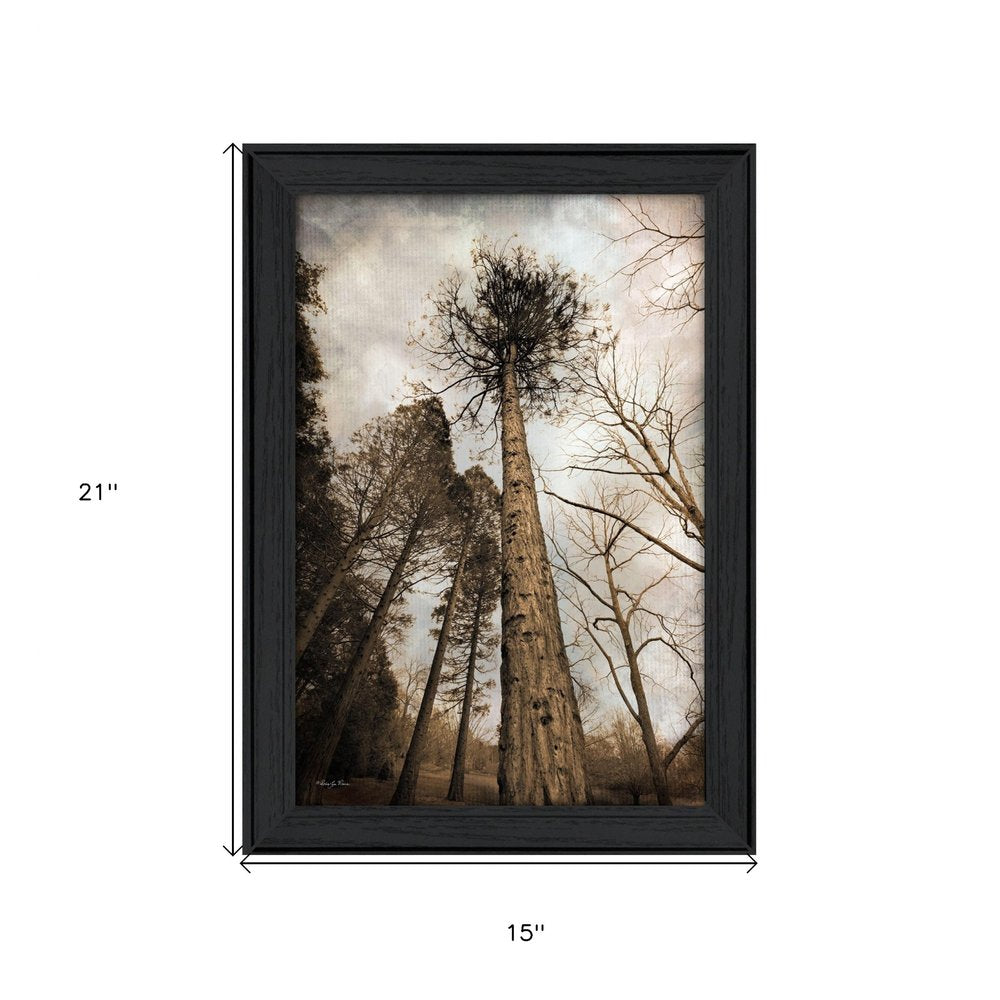 Skys the Limit Black Framed Print Wall Art HomeRoots