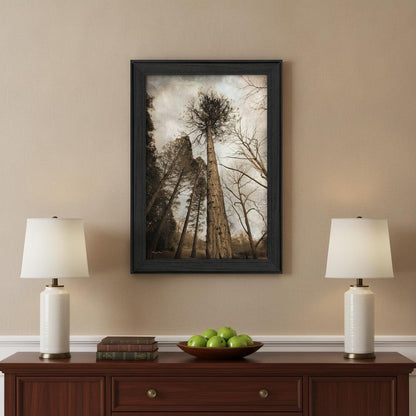Skys the Limit Black Framed Print Wall Art HomeRoots