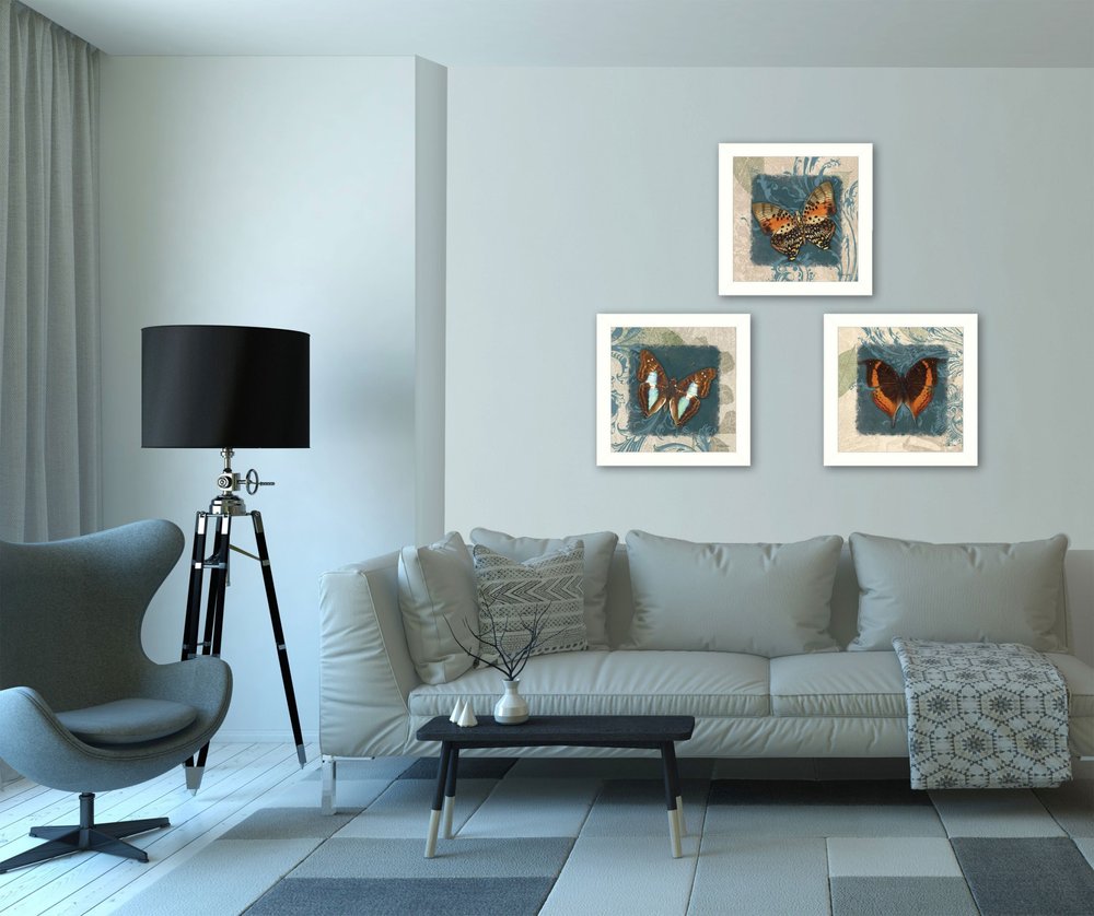 Set Of Three Butterflies White Framed Print Wall Art HomeRoots