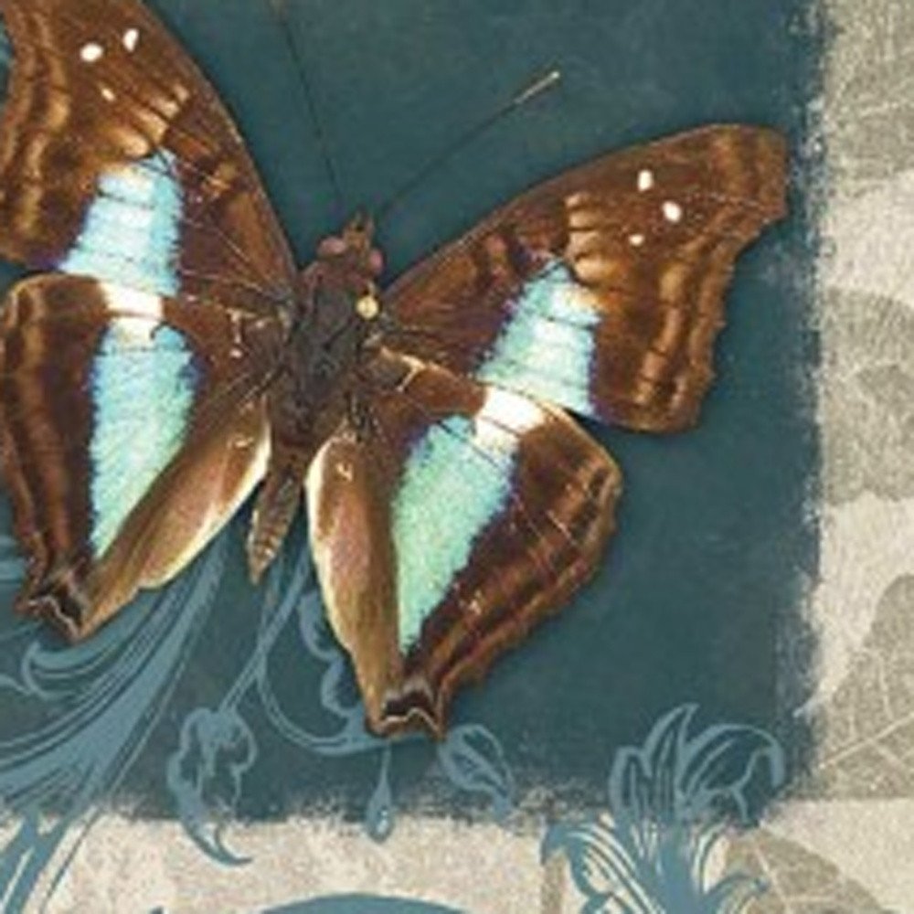 Set Of Three Butterflies White Framed Print Wall Art HomeRoots