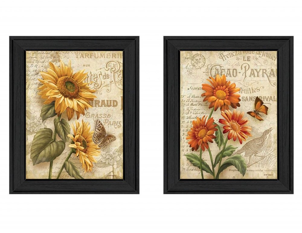 Set Of Two Flowers 2 Black Framed Print Wall Art HomeRoots