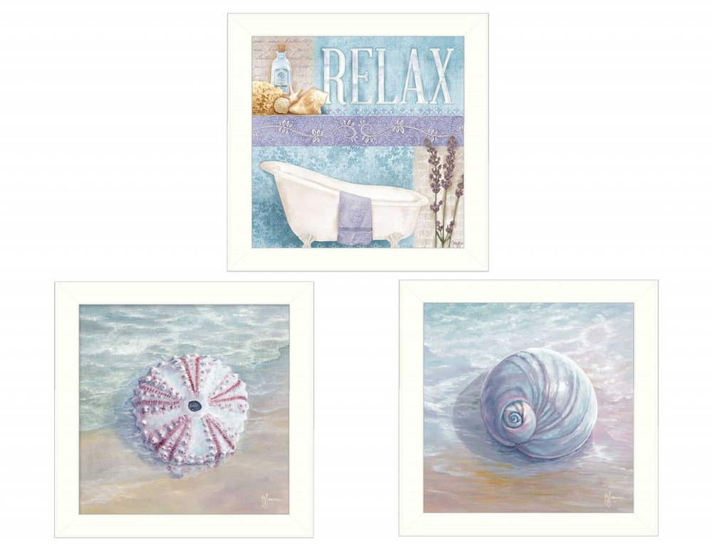 Set Of Three Shells I White Framed Print Bathroom Wall Art HomeRoots