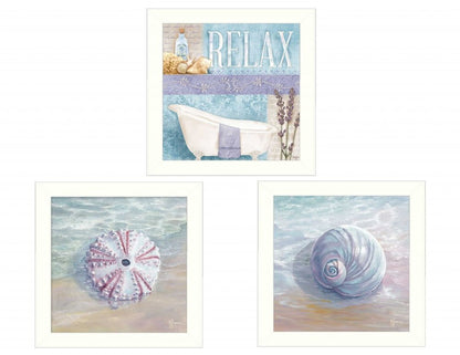 Set Of Three Shells I White Framed Print Bathroom Wall Art HomeRoots
