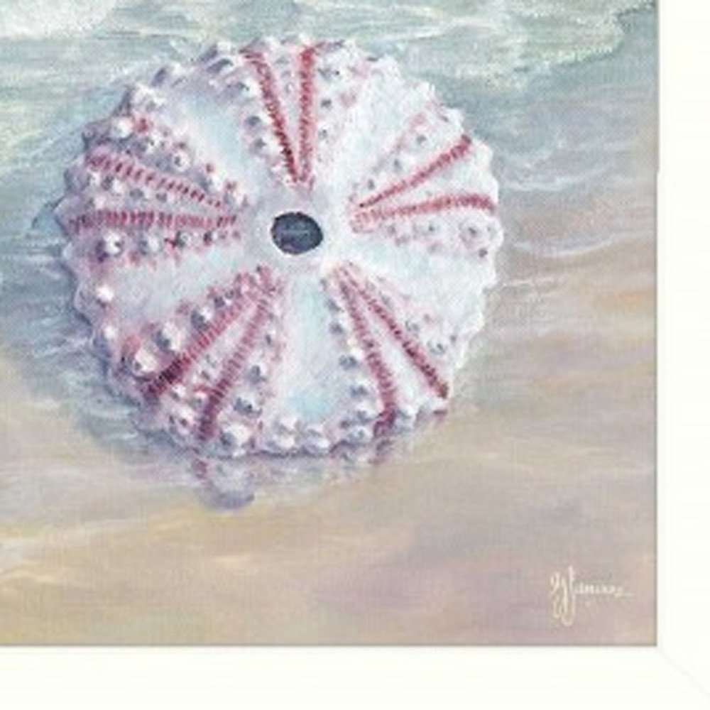 Set Of Three Shells I White Framed Print Bathroom Wall Art HomeRoots