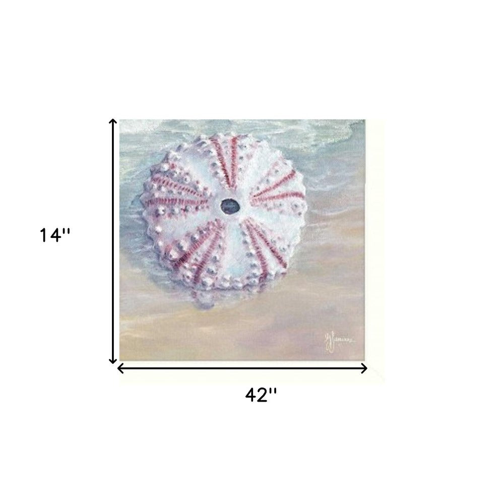 Set Of Three Shells I White Framed Print Bathroom Wall Art HomeRoots