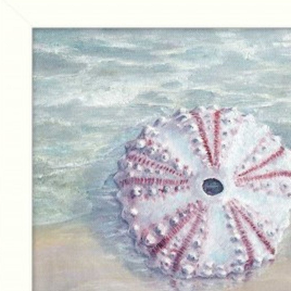 Set Of Three Shells I White Framed Print Bathroom Wall Art HomeRoots
