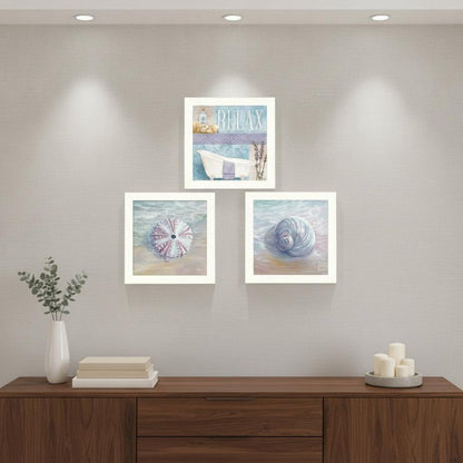 Set Of Three Shells I White Framed Print Bathroom Wall Art HomeRoots