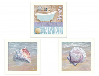 Set Of Three Shells II White Framed Print Bathroom Wall Art HomeRoots