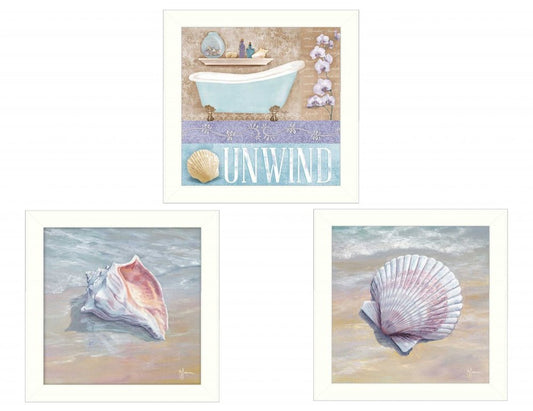 Set Of Three Shells II White Framed Print Bathroom Wall Art HomeRoots