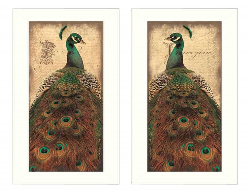 Set Of Two Peacock 1 White Framed Print Wall Art HomeRoots