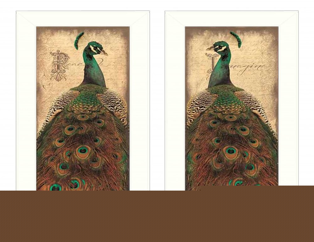 Set Of Two Peacock 1 White Framed Print Wall Art HomeRoots