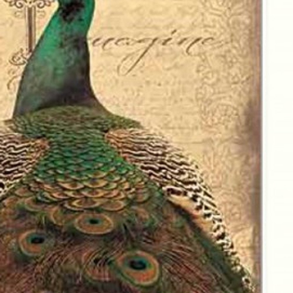 Set Of Two Peacock 1 White Framed Print Wall Art HomeRoots