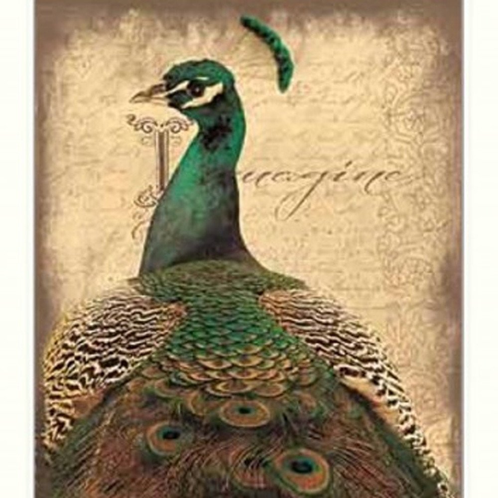 Set Of Two Peacock 1 White Framed Print Wall Art HomeRoots