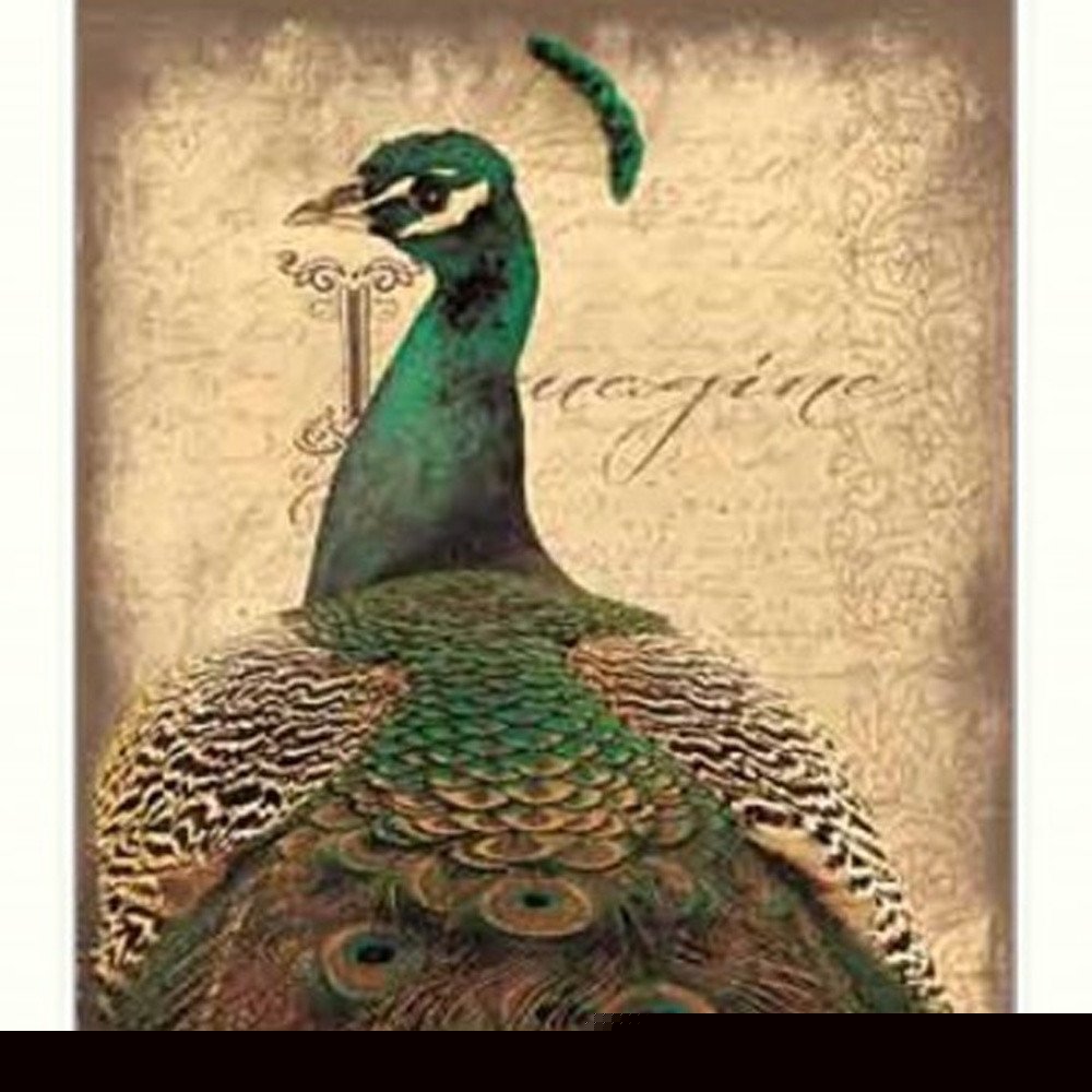 Set Of Two Peacock 1 White Framed Print Wall Art HomeRoots
