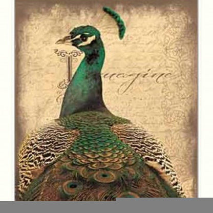 Set Of Two Peacock 1 White Framed Print Wall Art HomeRoots