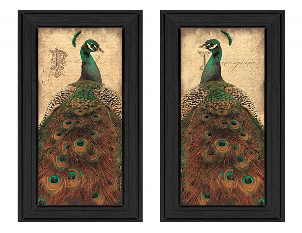 Set Of Two Peacock 2 Black Framed Print Wall Art HomeRoots