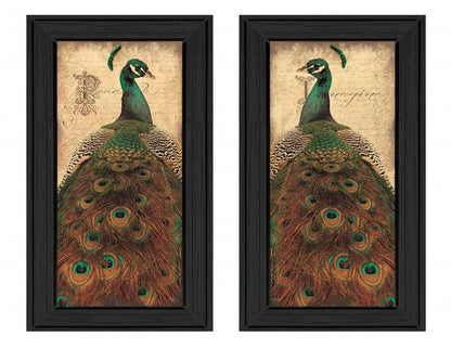 Set Of Two Peacock 2 Black Framed Print Wall Art HomeRoots