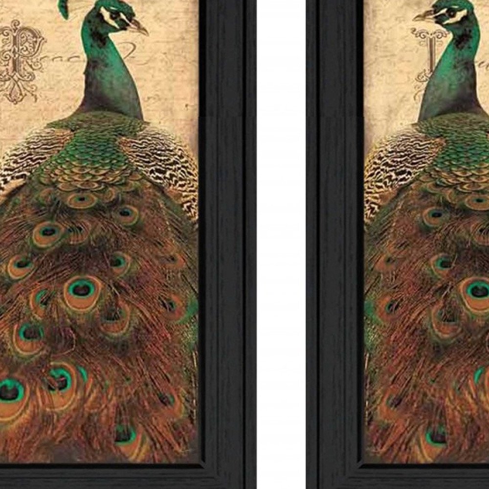 Set Of Two Peacock 2 Black Framed Print Wall Art HomeRoots