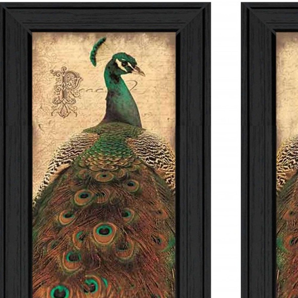 Set Of Two Peacock 2 Black Framed Print Wall Art HomeRoots