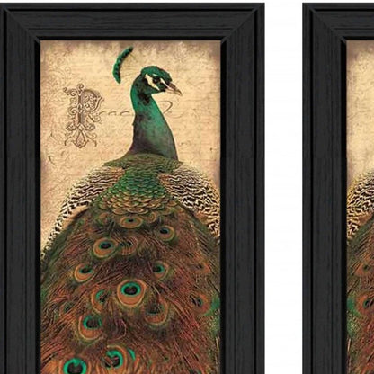 Set Of Two Peacock 2 Black Framed Print Wall Art HomeRoots