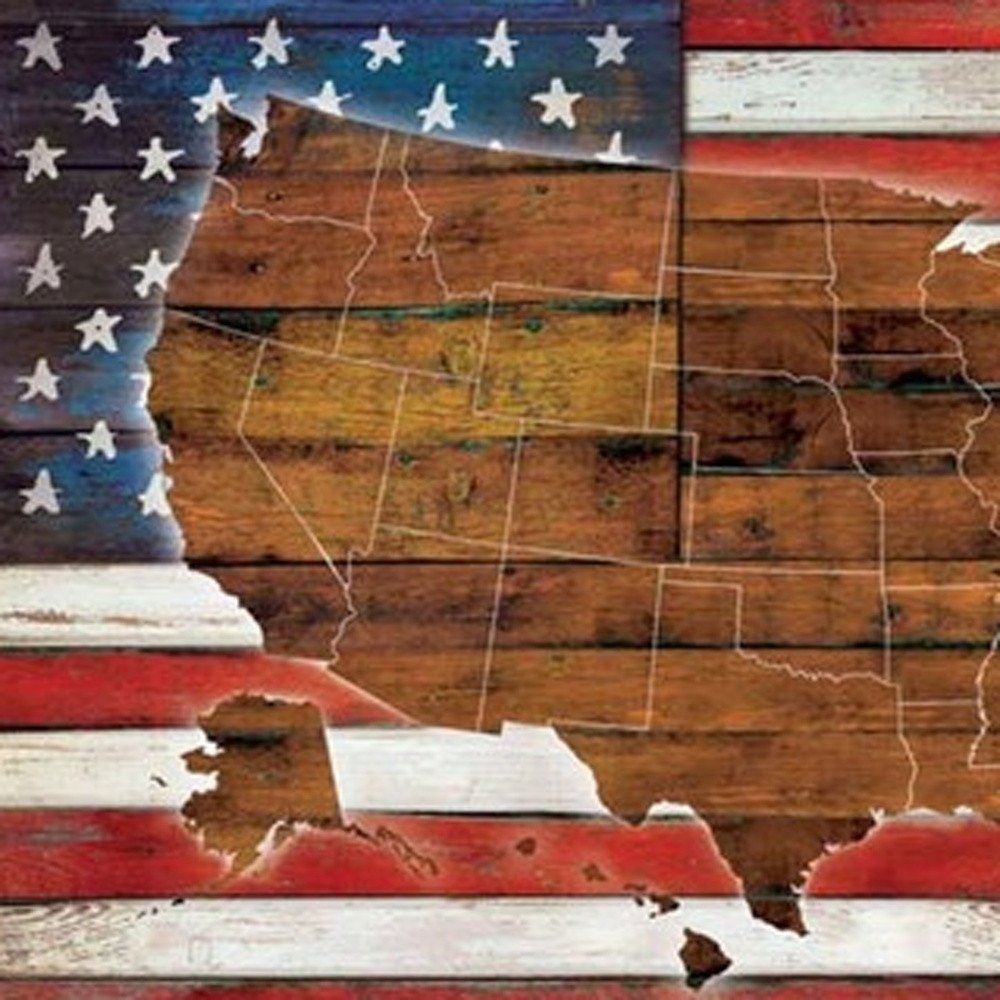 Set Of Two American Flags White Framed Print Wall Art HomeRoots