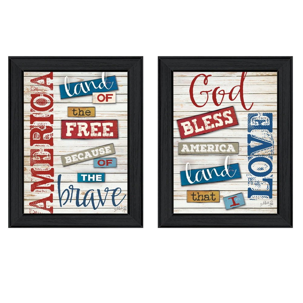 Set Of Two American 1 Black Framed Print Wall Art HomeRoots