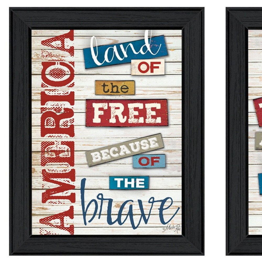Set Of Two American 1 Black Framed Print Wall Art HomeRoots