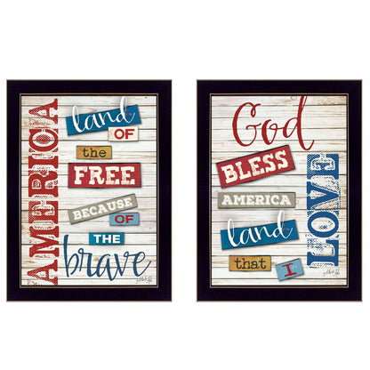 Set Of Two American 2 Black Framed Print Wall Art HomeRoots