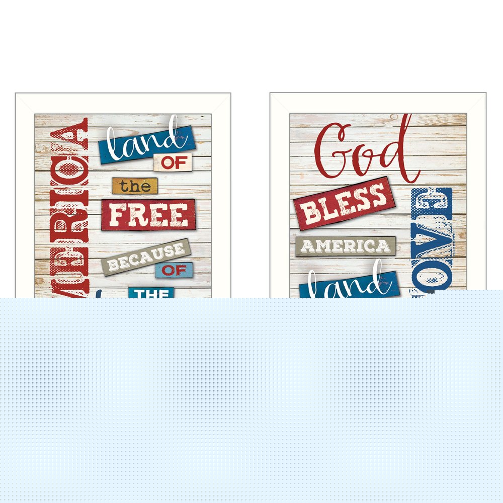 Set Of Two American 3 White Framed Print Wall Art HomeRoots