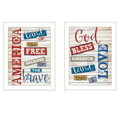 Set Of Two American 3 White Framed Print Wall Art HomeRoots
